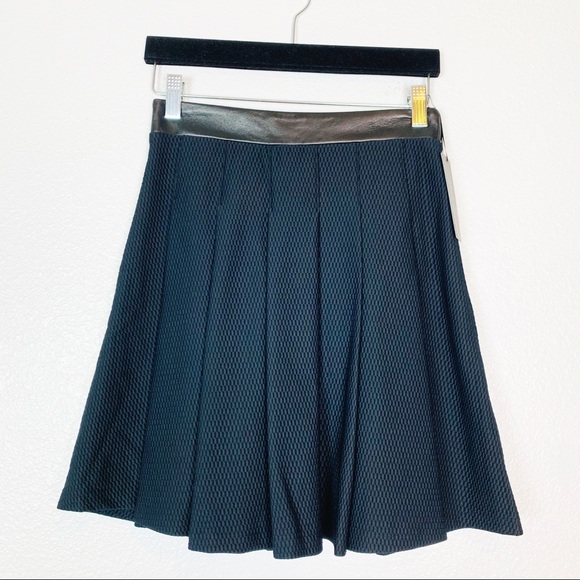 Lapina By David Helwani | Pleated Black Skirt - Picture 2 of 7